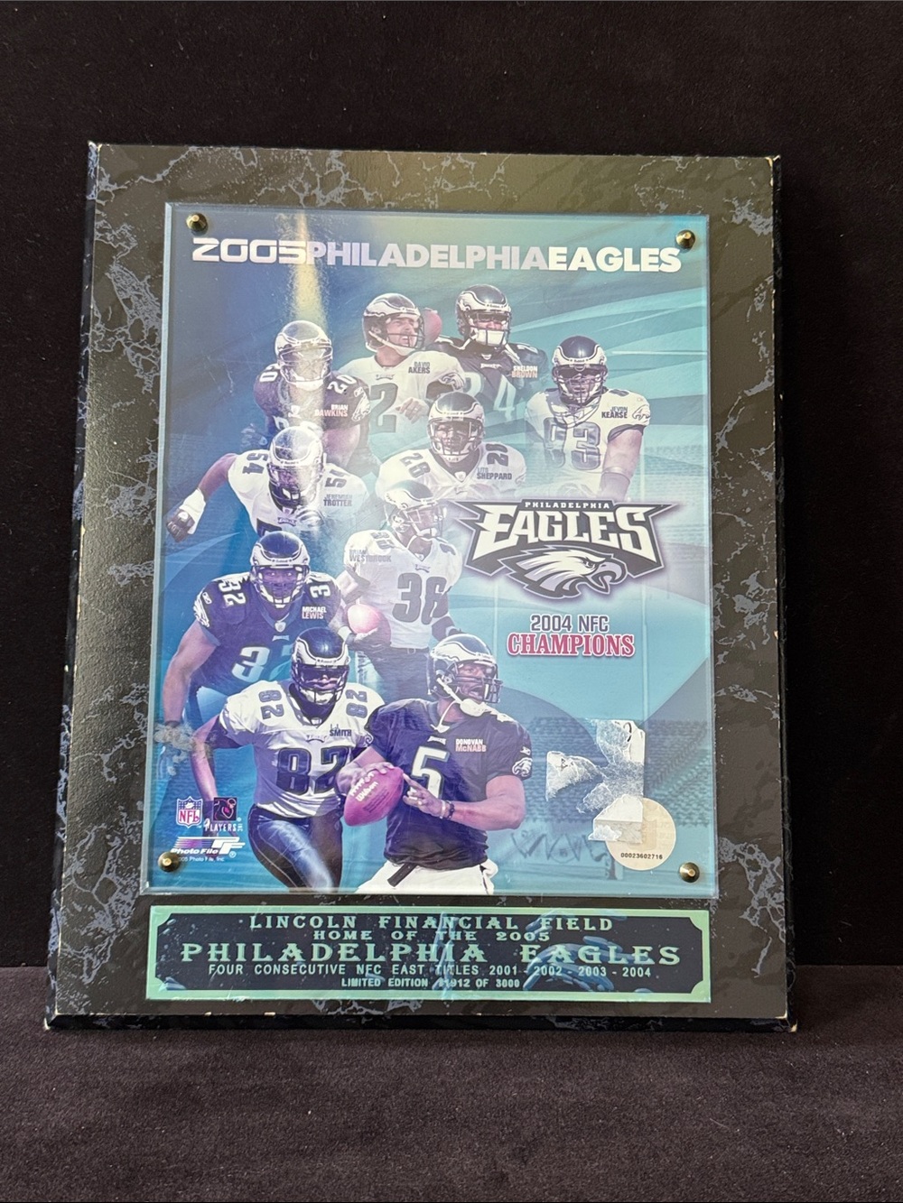 Philadelphia Eagles 2004 NFC Champions Framed Collectible #1912/3000